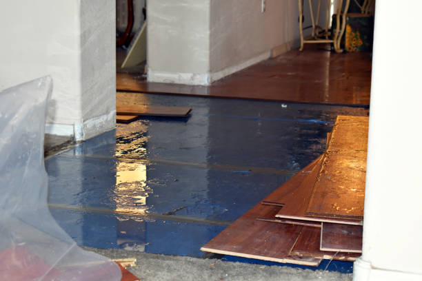 Professional Burst Pipe Water Damage technician working in Hudson, ME